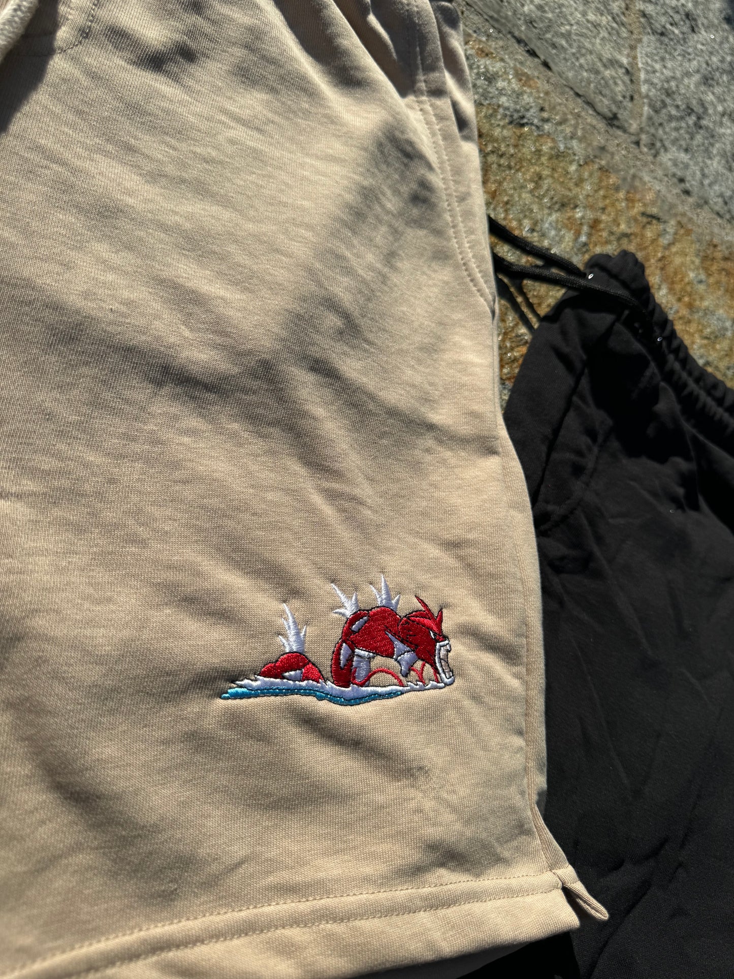 Shiny Gyarados embroidered Shorts